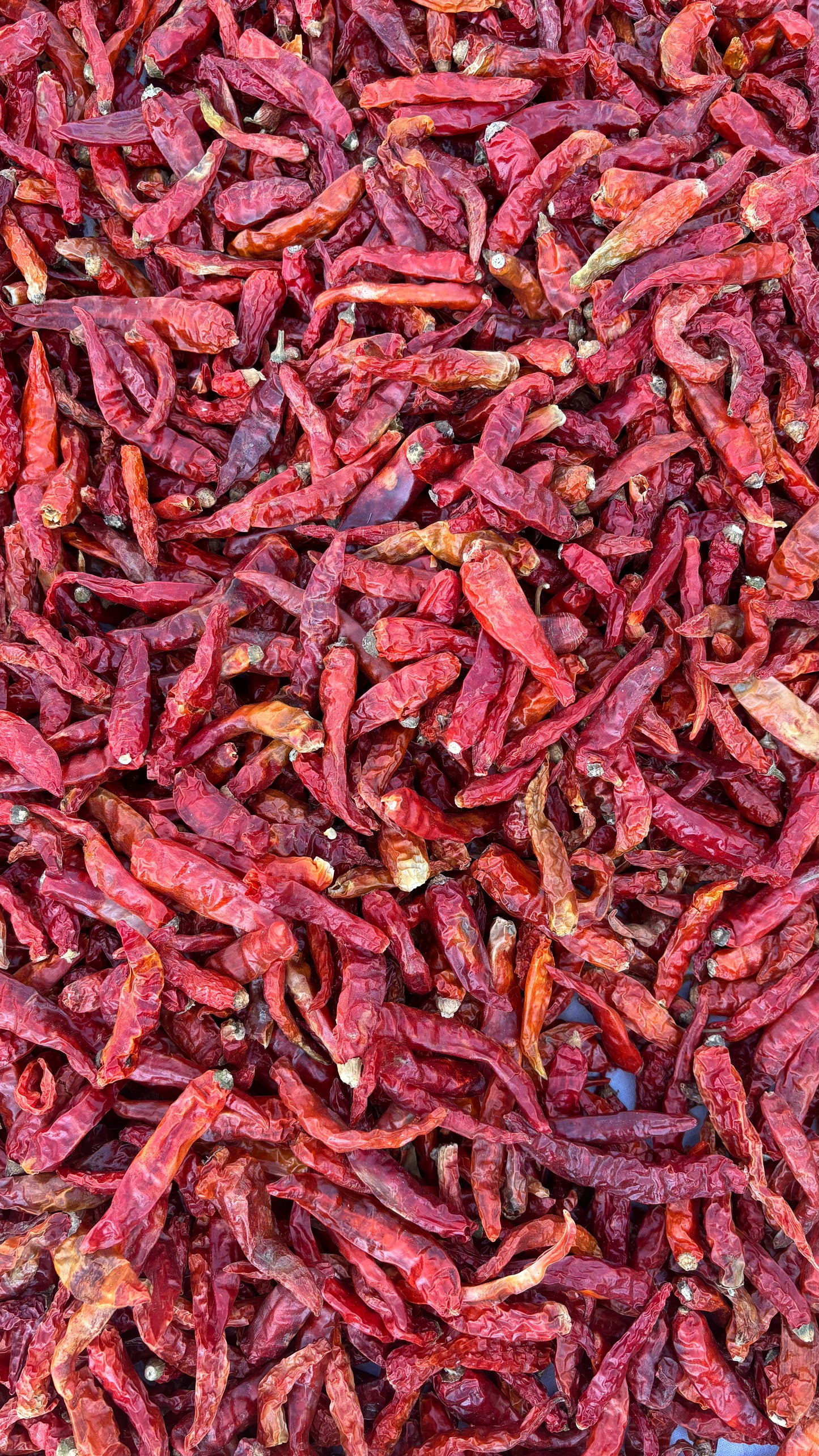 Himalayan Red Chilli Powder