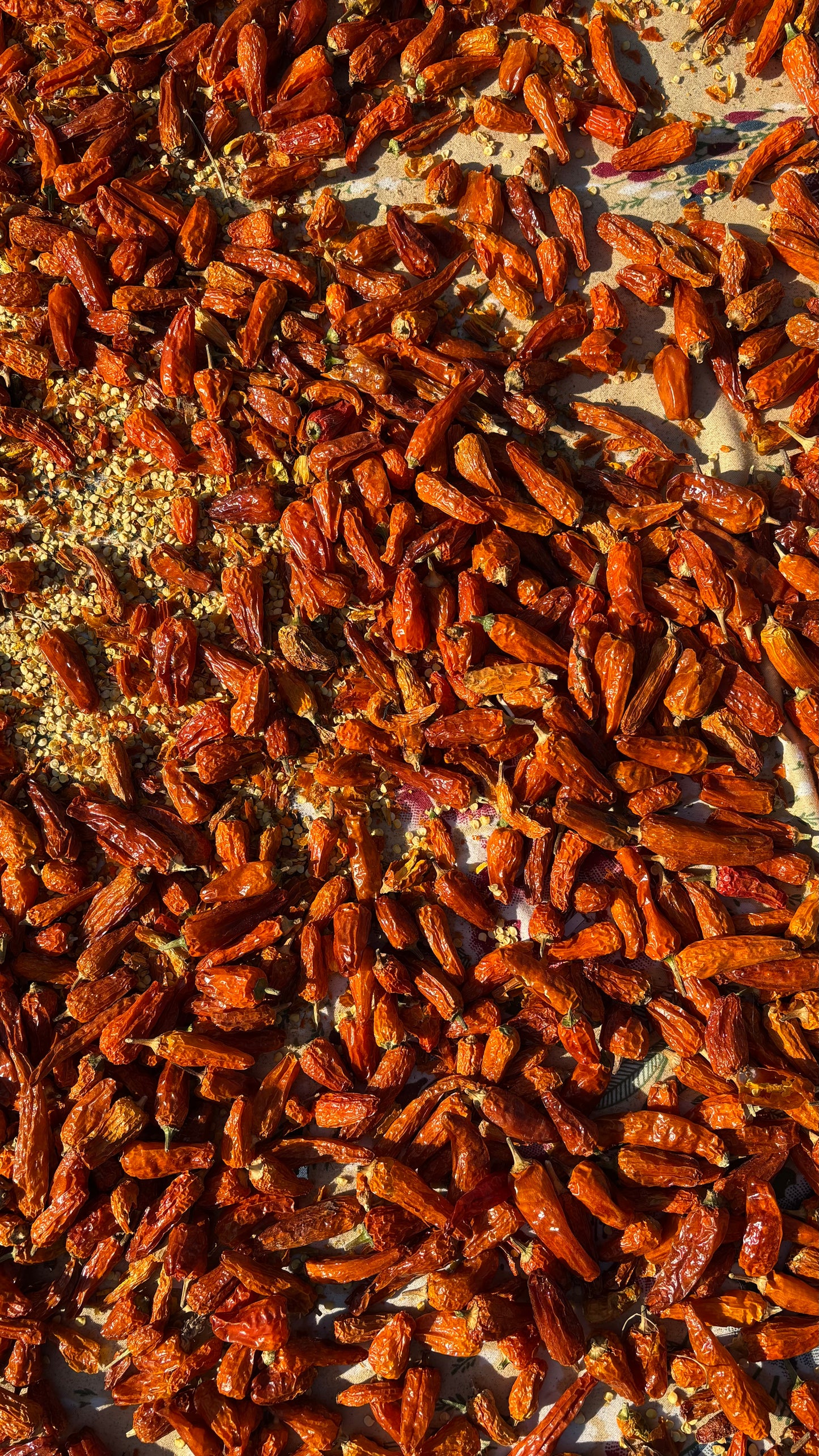 Lakhori Chilli Powder