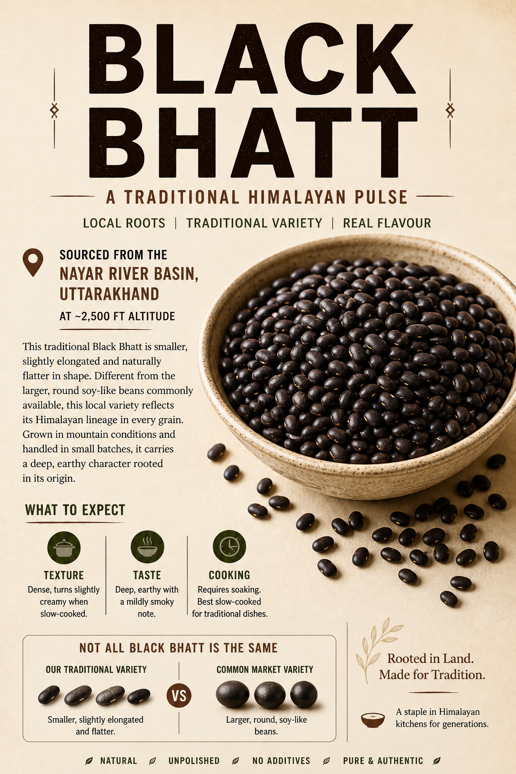 Black Bhatt (soybean)