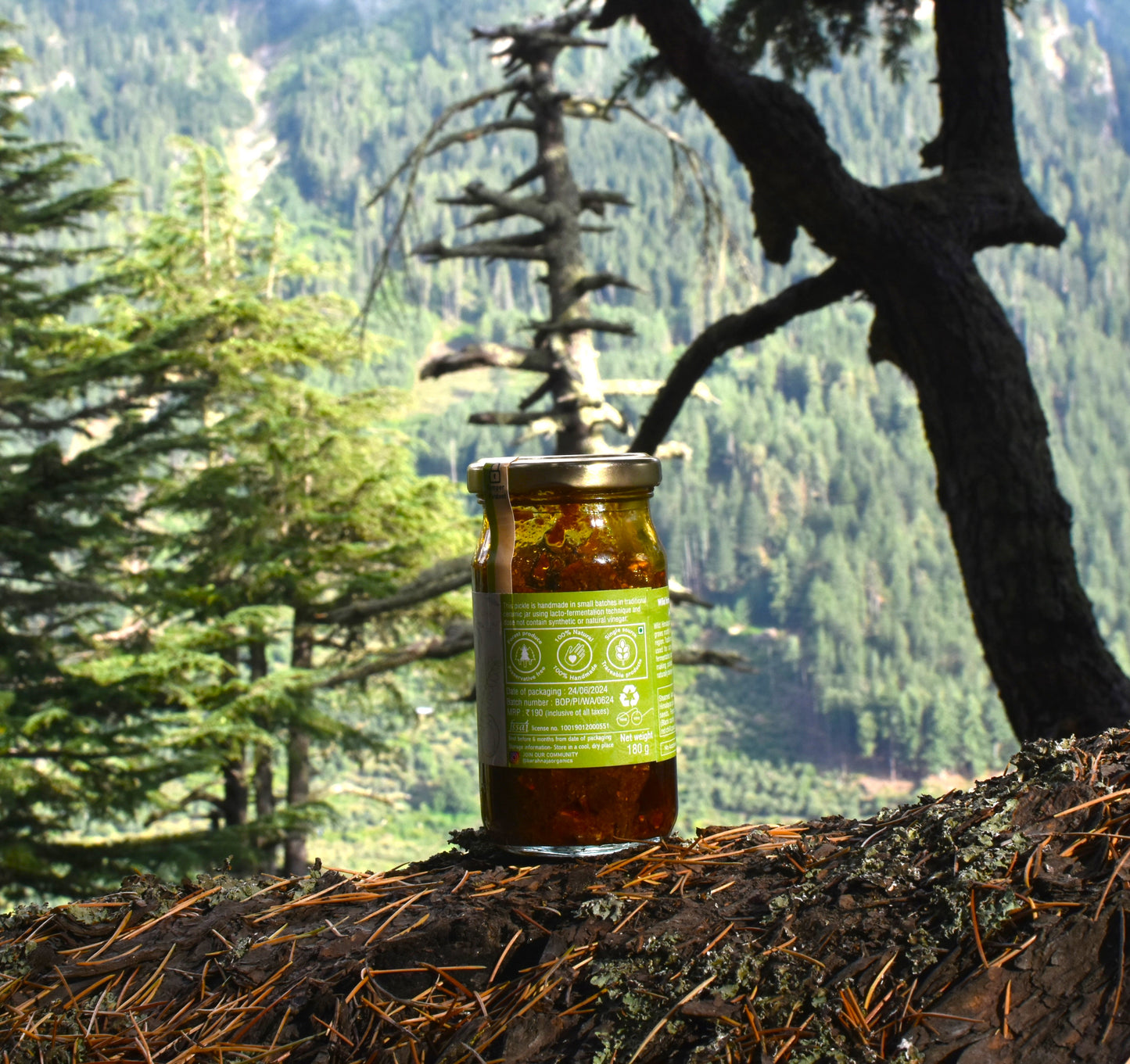 Himalayan wild Gooseberry pickle (Amla achaar)
