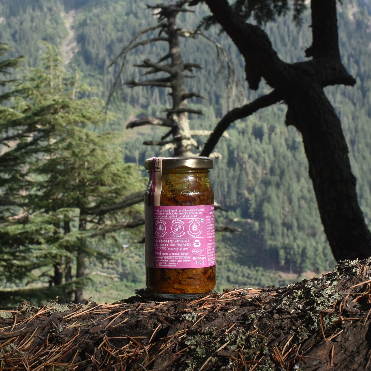 Himalayan Kachnaar Flower bud pickle