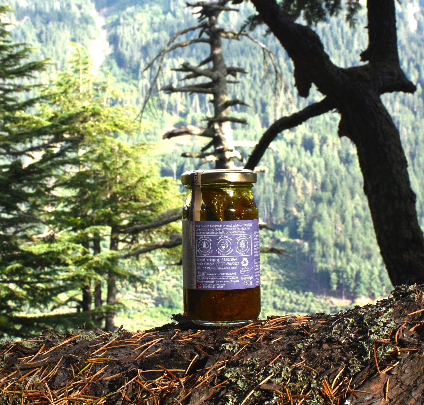 Himalayan wild fig pickle (Timla)