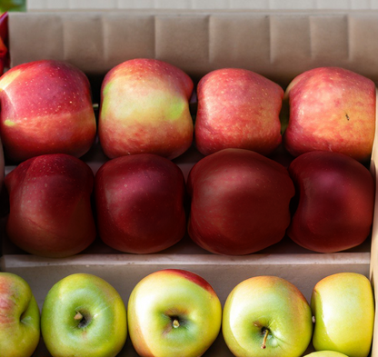 Assorted Apple pack/ Mixed box