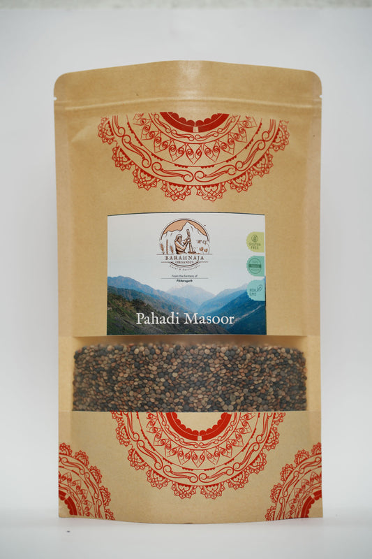 Black lentil (pahadi masoor)