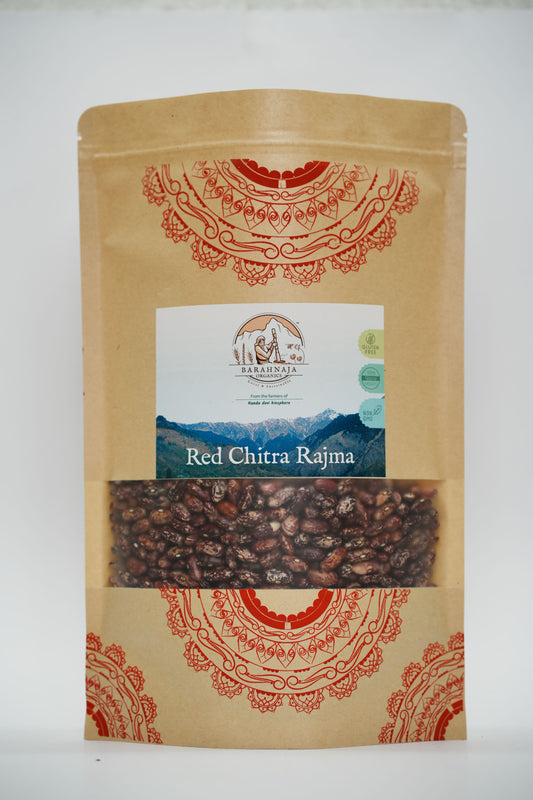 Red chitra rajma