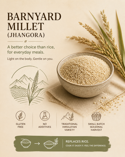 Himalayan Barnyard millet (Jhangora)