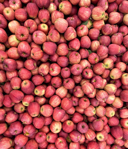 Red Gold Himalayan Apples