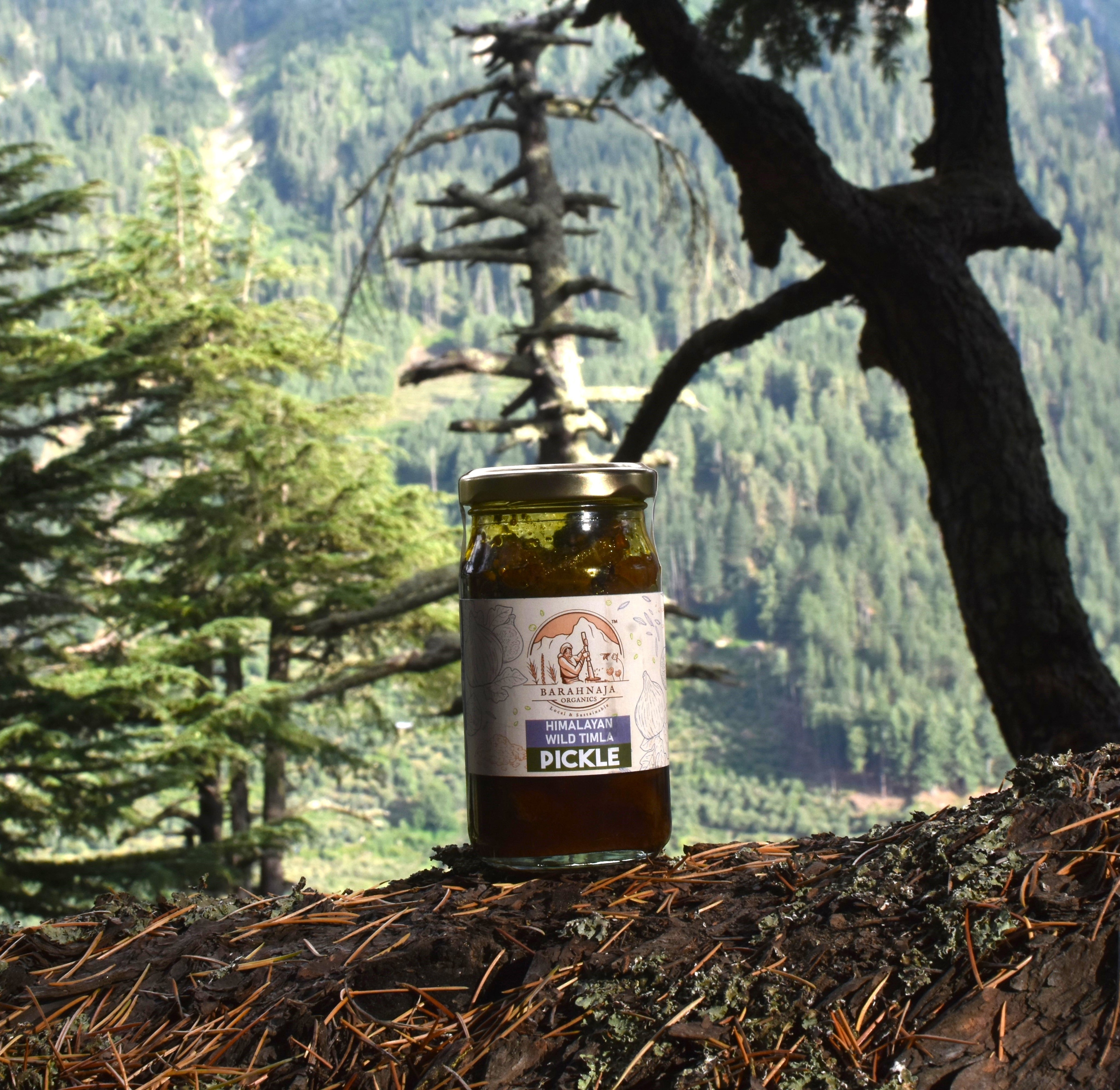 Himalayan wild fig pickle (Timla) – Barahnaja organics